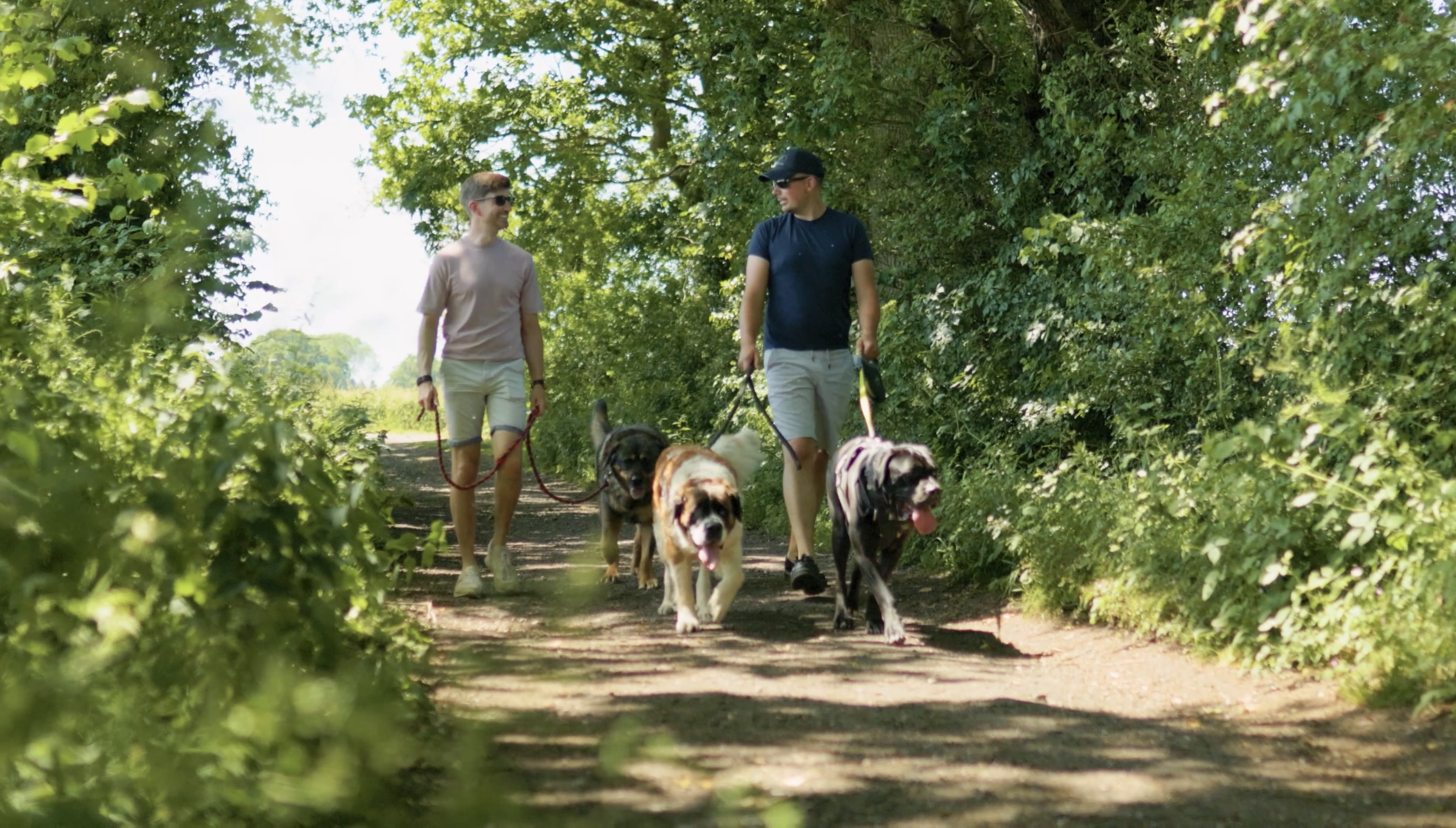 Chris and Joe walking their dogs in the Kent countryside
